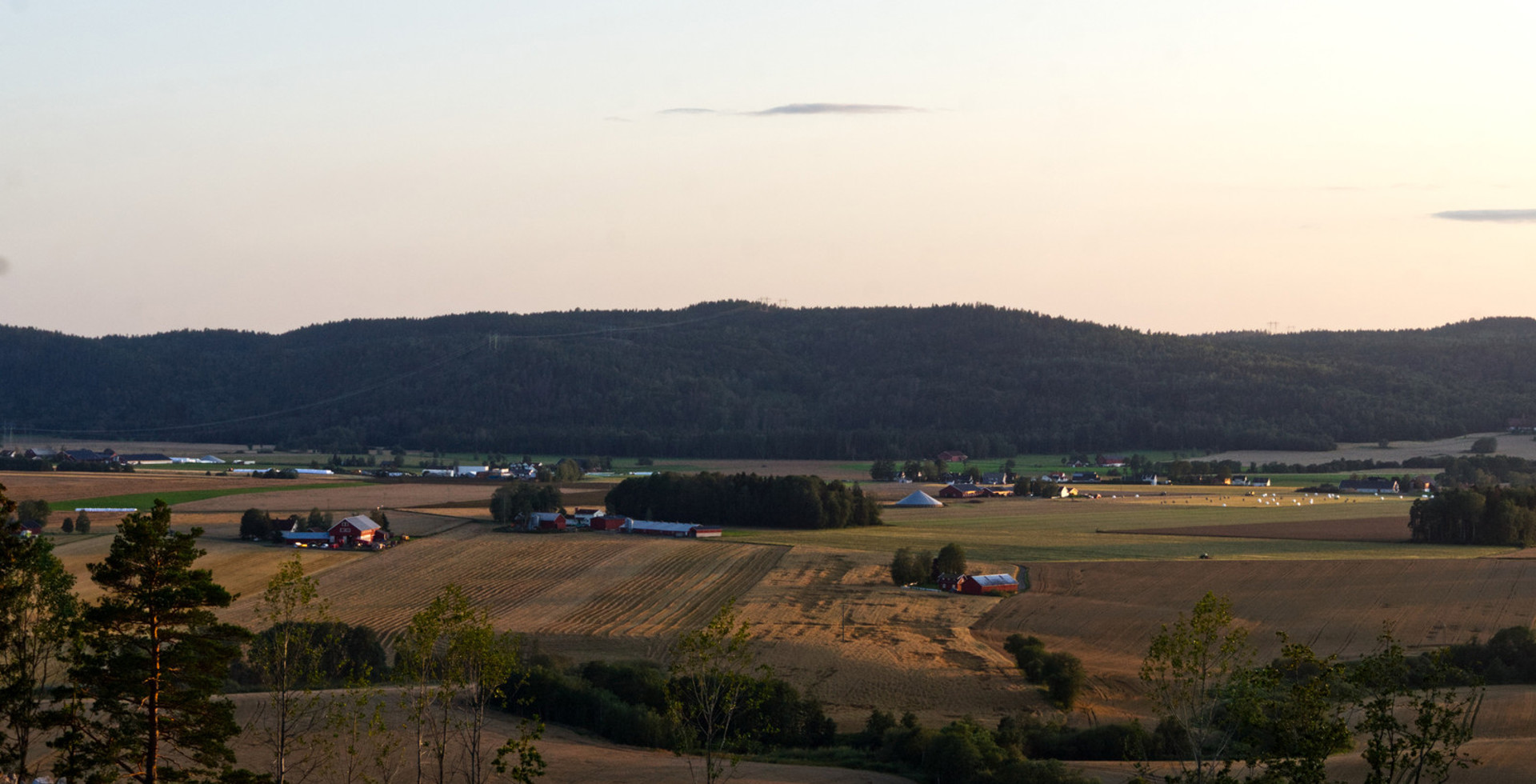 Skjeggestadåsen i Revetal